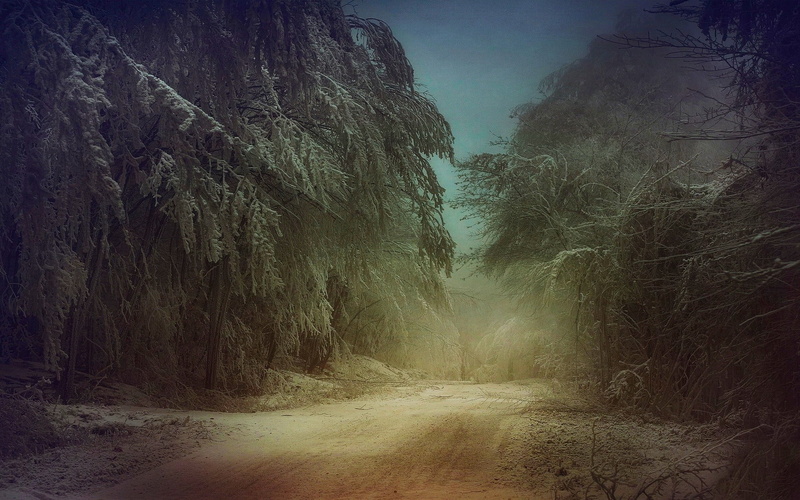 tranquility, landscape, plant, 1080P, trees, land, outdoors, tree, forest, road, dirt road, frost, dusk, fog, mist, snow, untitled, environment, cold