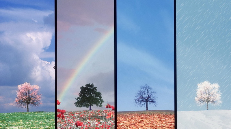 art, seasons, hd, four, x, four seasons, nature, 1080P