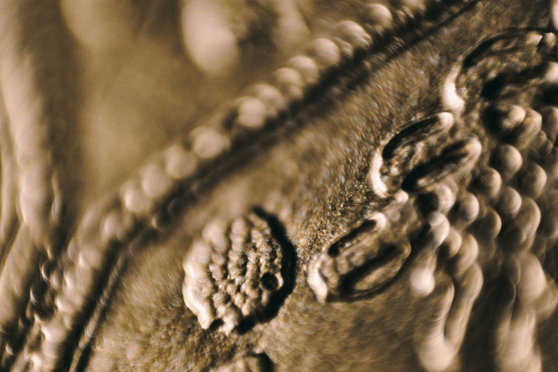 extreme close-up, nature, reptile, full frame, brown, textured, view, no people, 5K, backgrounds, indoors, detail, textile, day, leather, animal themes