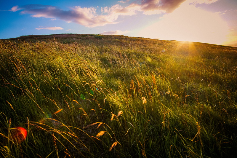 summer, green, cloud - sky, european, sun, nature, land, scotland, environment, landscape, landscapes, grass, tranquil scene, scenics - nature, plant, sunset