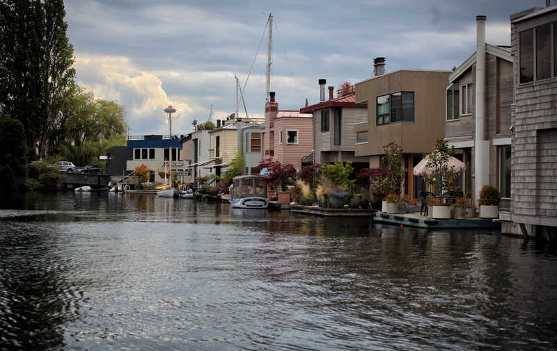 reflection, river, waterfront, tree, fresh water, water, floating houses, transportation, outdoors, seattle, building, pnw, lake union, pacific northwest