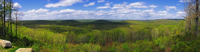 8K, grass, Lycoming County, tree, green, White Deer, panoramic, Amplitude, Union County, blue, field, Deer Ridge, Pennsylvania, outdoors, nature, Bald Eagle State Forest