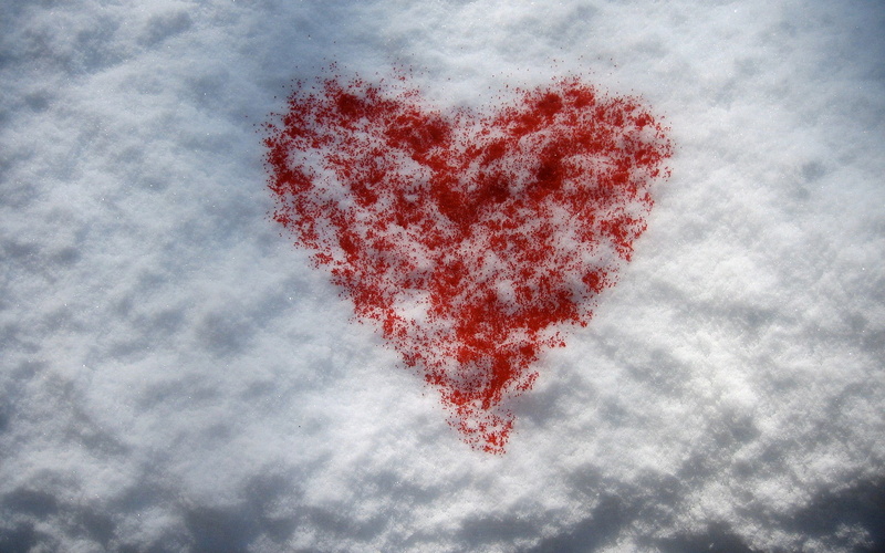 low angle view, nature, plant, heart shape, tree, cloud - sky, day, valentines day  computer, winter, candy heart, valentines day - holiday, cold temperature