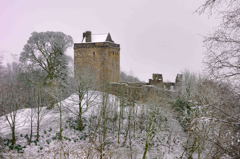 building exterior, sky, fort, nature, tree, scotland, built structure, campbell, no people, growth, ruin, plant, ice, spire, the past, snow, clear sky