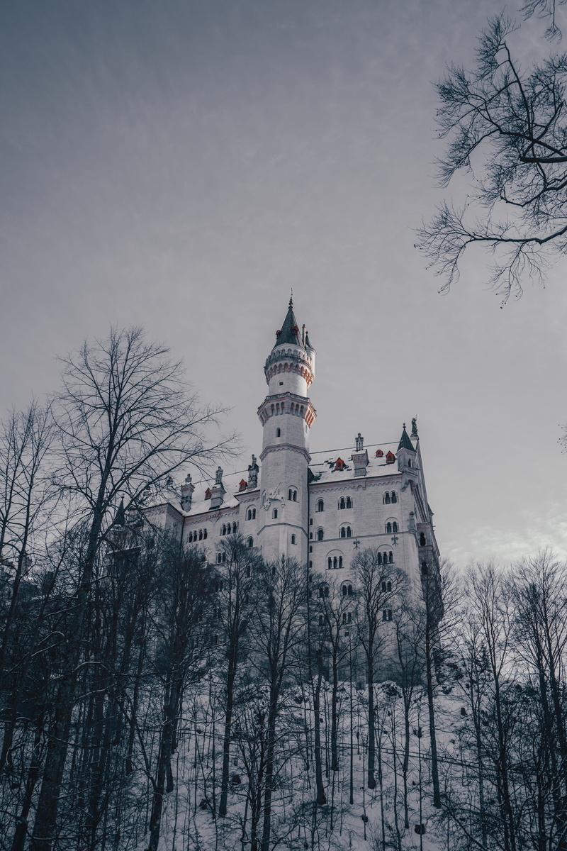 tower, scenic, 4K, trees, cold, spire, winter, outdoors, sight, snow, frozen, germany, the past, daylight, frost, history, munich, castle, building, sky