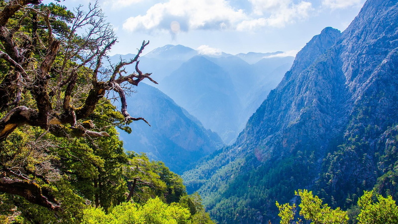 nature, valley, plant, non-urban scene, land, coniferous tree, clouds, mountain, samaria gorge national park, tranquil scene, landscape, naureture, sfakia