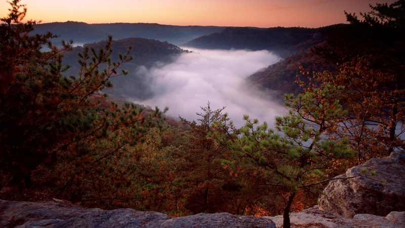 kentucky, green, nature, 1920x1080, red, gorge, tree, 1080P, leaf, red river gorge, river