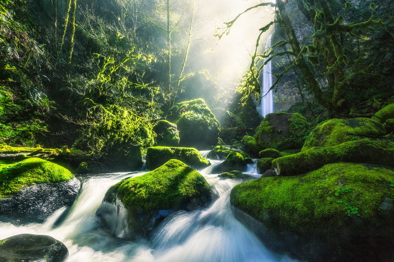 Waterfall, 4K, Elowah Falls, 4K, Stream, Columbia River Gorge, Forest