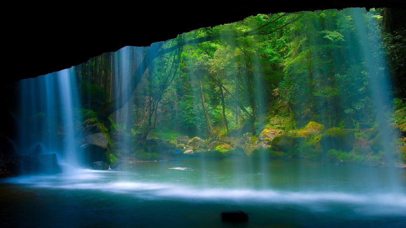 stream, cave, falls, wood, nature, behind a wall, green, trees, gorge, brightly, 1080P, water, stones