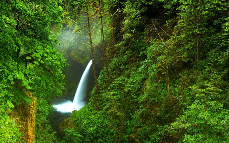 trees, 1080P, waterfall, Oregon, river, forest, USA, Nature, gorge