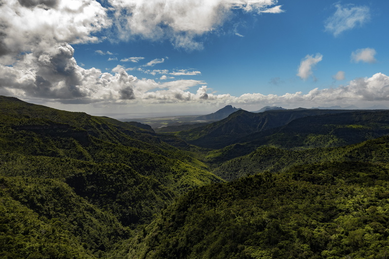 wood, mountain, shadow, fog, 5K, green, black river gorges national park, beauty in nature, tranquility, outdoors, mountain range, tranquil scene, horizon