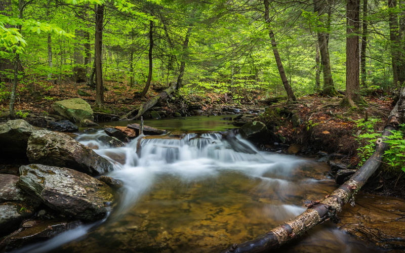 state, benton, park, pennsylvania, ricketts, falls, usa, hd, mobile, glen, phones, laptops, 4K, trail