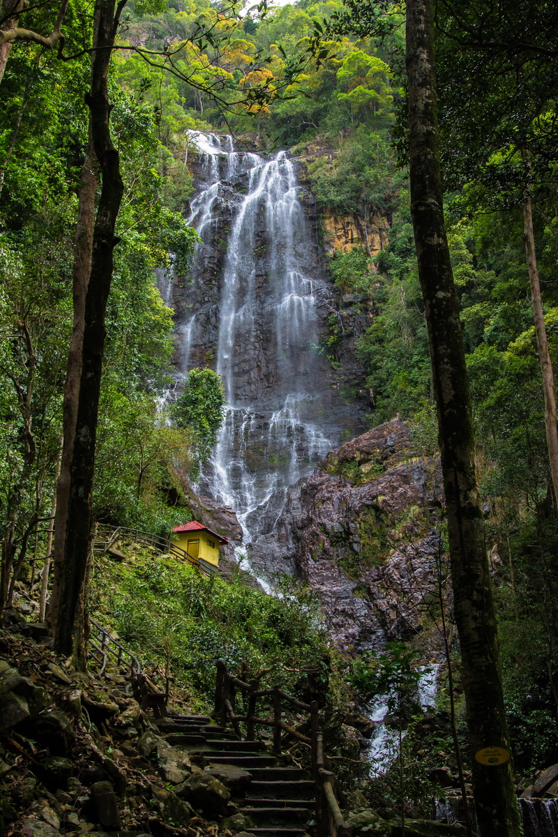 trunk, cliff, land, steep, waterfall, rainforest, temurun, langkawi falls, temurun waterfall, motion, day, power in nature, environment, falls, nature