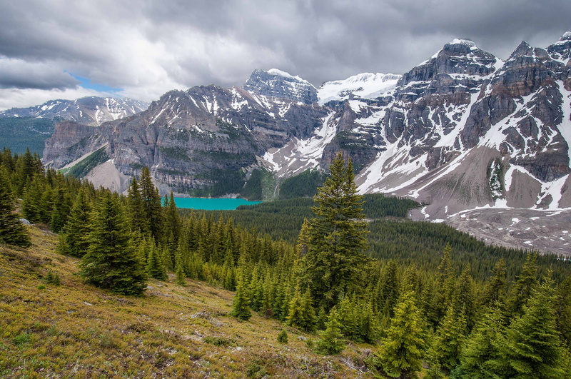 forest, 1080P, Albert, valley of the Ten peaks., mountains, alps, Canada, Banff National Park, Valley of the Ten Peaks, trees, pine, Alberta, Moraine Lake