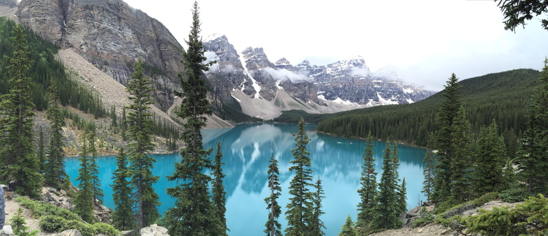 land, tranquil scene, lake, lake louise, cold temperature, moraine lake, woodland, water, canada, plant, no people, reflection, valley of the ten peaks