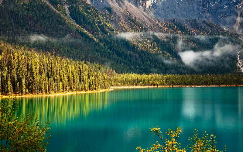 lake, national, Yoho National Park, emerald, Emerald Lake, yoho, forest, Canada, mountains, trees, slope, park, British Columbia, 1080P
