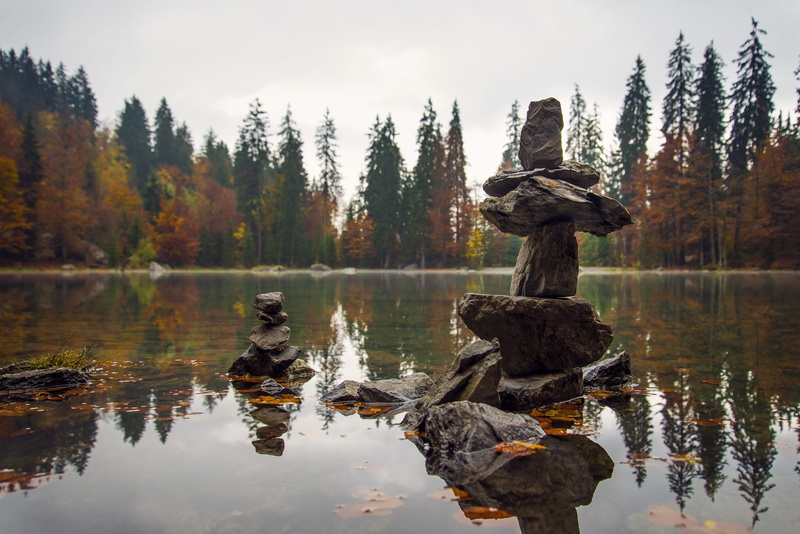 autumn, plant, reflection, pond, non-urban scene, reflection lake, day, sky, forest, water, tranquil scene, tree, change, glacial, scenics - nature, waterfront