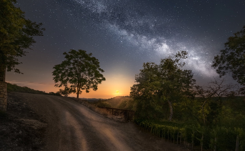 1080P, the sky, trees, the milky way, night, Ole Henrik Skjelstad