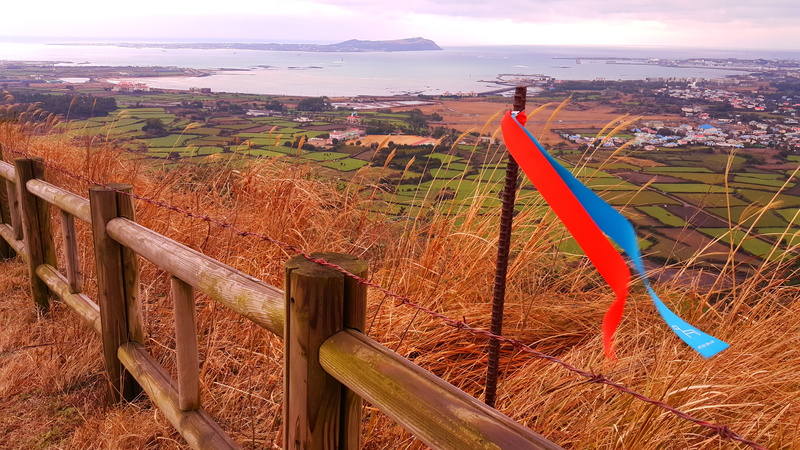 land, day, field, non-urban scene, udo, scenics - nature, jeju, wind, cloud - sky, plant, nature, change, high angle view, outdoors, flag, wood - material