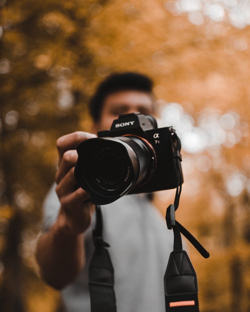tree, person, in, technology, photography, leaves, one person, slr camera, a7iii, obscured face, photo, photography themes, hand, dslr, leaf, digital camera
