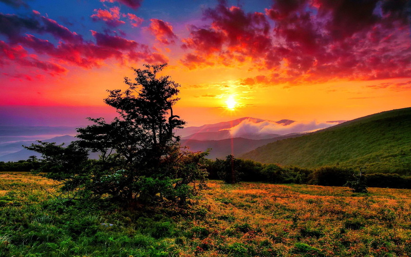meadow, sunset, 1080P, colorful, clouds, brilliant, amazing, sunrise, grass, west, field, fiery, western, carolina, north, lovely, nice