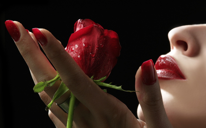 amp, rose, 2K, lips, red