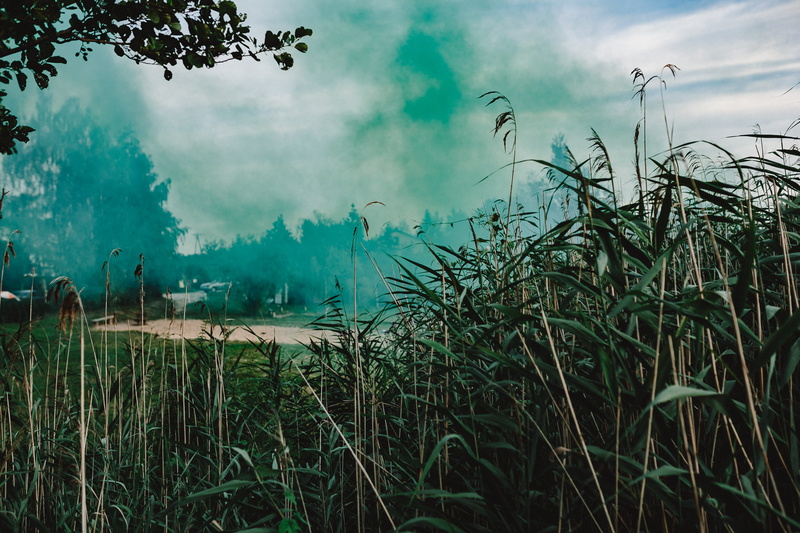 environment, plant, beauty In Nature, smoke, scenics, forest, rural Scene, background, tranquility, mountain, land, crop, sky, morning, abstract, landscape
