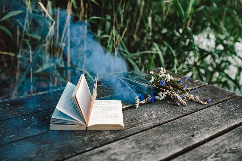 plant, outdoors, smoke, Colorful, flower, sunlight, nature, colorful smoke, page, wood - Material, literature, old-fashioned, focus on foreground, 4K