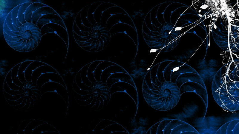 nature, arrangement, backdrop, curve, artistic, close-up, light, fractal, swirl, symbol, graphic, futuristic, colors, 1080P, space, digital