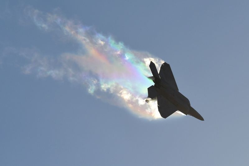 nature, beauty in nature, sky, animal wildlife, Lockheed Martin F-22 Raptor, animals in the wild, animal themes, mid-air, no people, one animal, flying