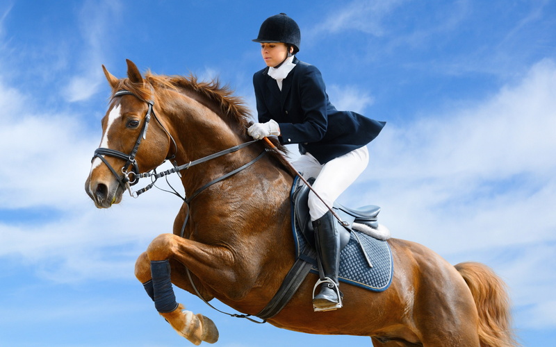 Horse, Jockey, Jump, 2K