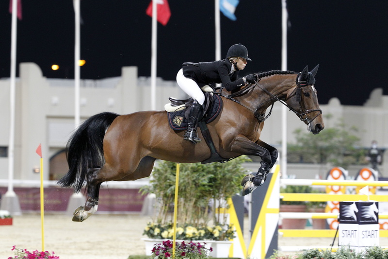 sports Venue, rider, working animal, competition, vertebrate, jockey, animal wildlife, livestock, sports Race, 4K, black, competitive Sport, excitement