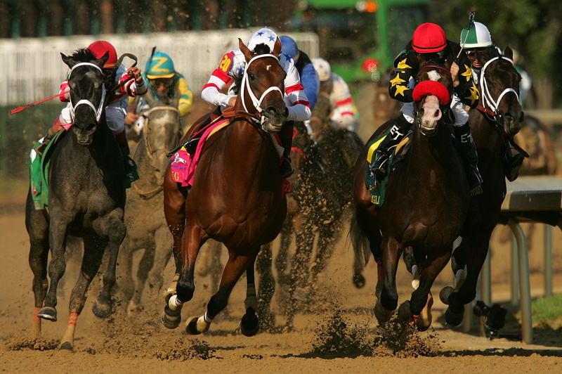real people, activity, sport, horseback riding, flat Racing, animal wildlife, excitement, 2K, mammal, outdoors, horse, thoroughbred Horse, dominating fashion