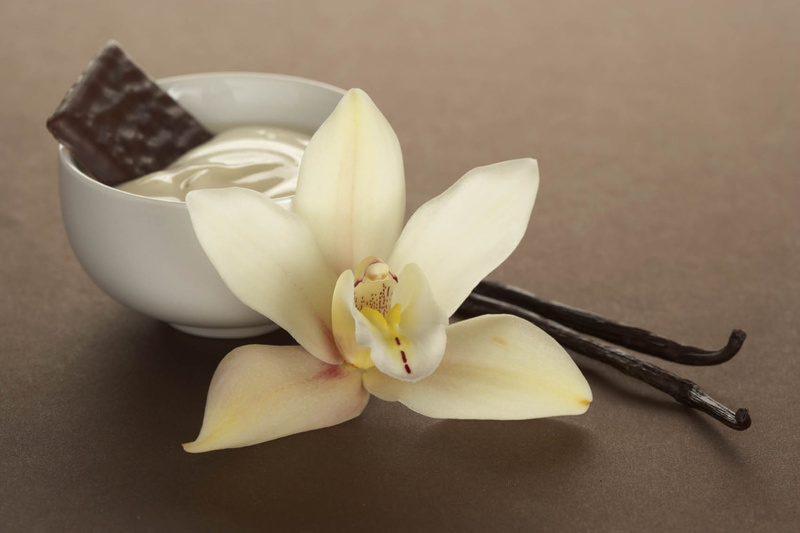 flower, orchid, sticks, pollen, freshness, aroma, flowering plant, vanilla, white color, inflorescence, plant, white, indoors, flower head, fragility, beauty in nature