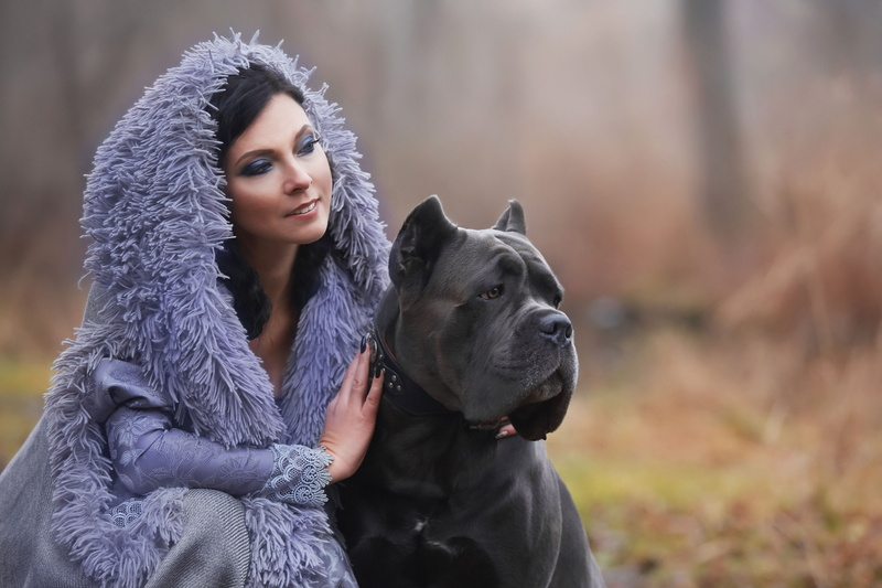 Cane Corso, Model, Dog, Girl, 4K, Models, Woman, Depth Of Field