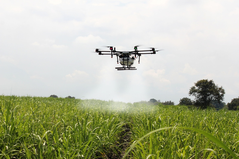 landscape, day, sky, growth, spray, air vehicle, drone asperjando, drone farm, fumigation, green color, sugar cane, land, grass, cloud - sky, mode of transportation