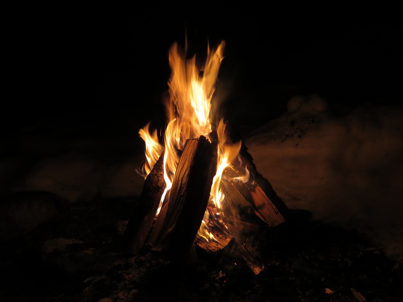 wood, glowing, firewood, nature, no people, close, log, fiery, heat, heat - Temperature, photo, bonfire, motion, burn, orange color, flames, blaze, campfire