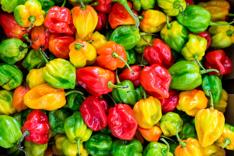 close-up, backgrounds, multi colored, variation, paprika, retail, colorful, full frame, ingredients, 5K, large group of objects, food, choice, food and drink