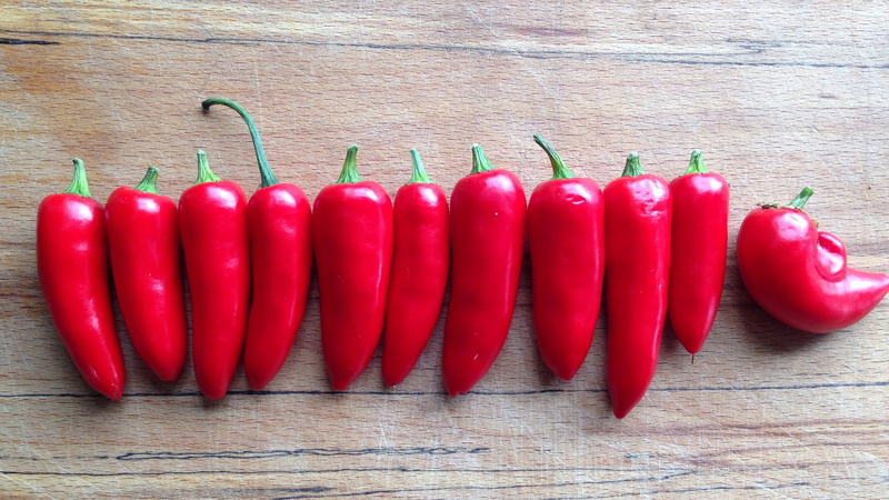 go your own way, organic, uploaded, food, lot, red, red  peppers, filter, backgrounds, vegetable, cooking, bell pepper, pepper, flickr, mobile, freshness