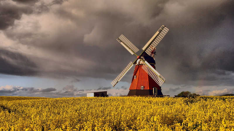 land, renewable energy, agriculture, fuel and power generation, sky, nature, clouds, environmental conservation, windmill, turbine, wind turbine, outdoors