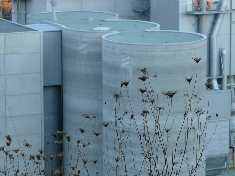 white, winemaking, power, no people, domestic room, kieswerk, 2K, gravel plant, silos, building material, flowering plant, focus on foreground, building