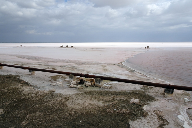 sky, landscape, water, nature, gujarat, beauty in nature, tranquility, kachchh, desert, saline, india, day, sea, horizon, road, great rann, white rann