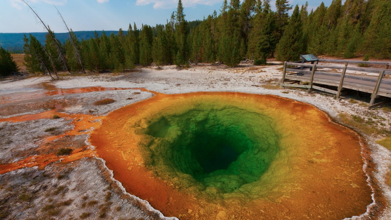 non-urban scene, power in nature, Yellowstone National Park, tree, plant, green color, environment, outdoors, no people, day, hot spring, nature, scenics - nature