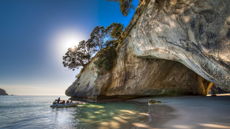 coast, water, formation, sea, tourism, cathedral cove, sky, 4K, summer, cliff, shore, marine reserve, cave, arch, rock, new zealand, ocean, tree, blue sky