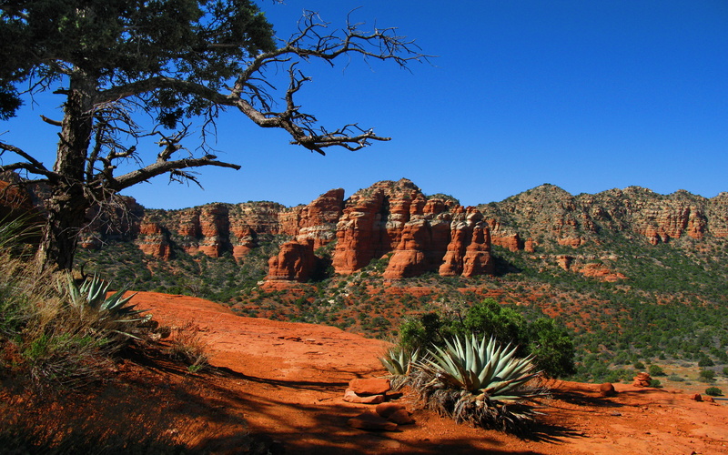 tranquil scene, scenics - nature, oak, america, arizona, beauty in nature, creek, clear sky, nature, rock formation, remote, physical geography, arid climate
