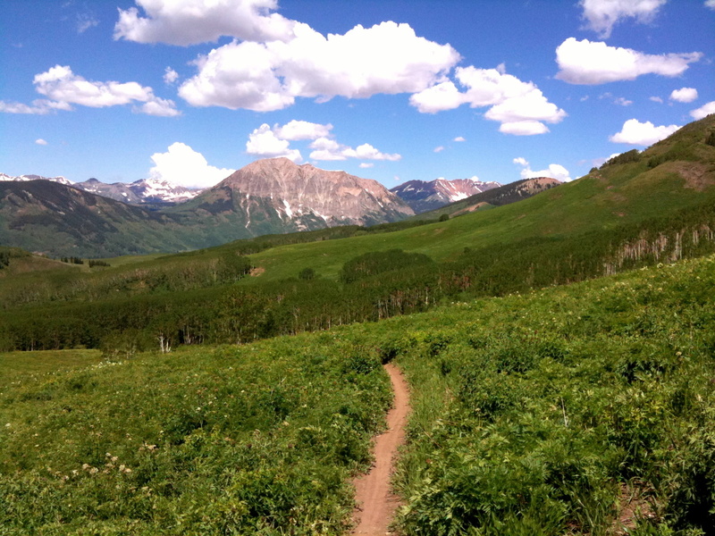 scenics, outdoors, green, meadow, mountain bike, landscape, mountain, crested butte  Colorado, forest, CO, crested, grass field, 1080P, Deer Creek Trail