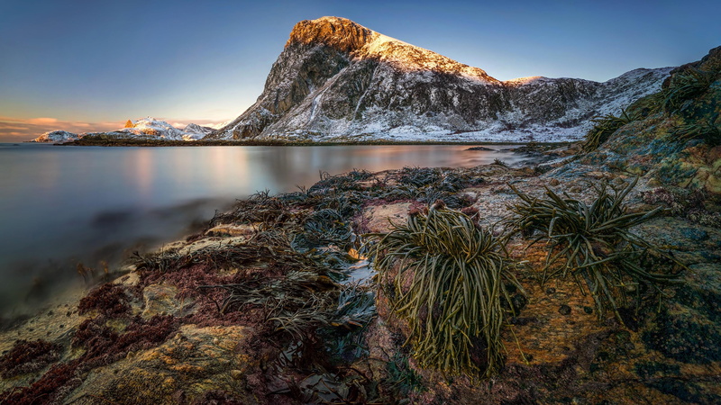 coast, land, amazing, reflection, nature, tourist attraction, plant, coastline, tourism, kvalvika beach, plants, sky, 4K, cloud - sky, norway, scenics - nature