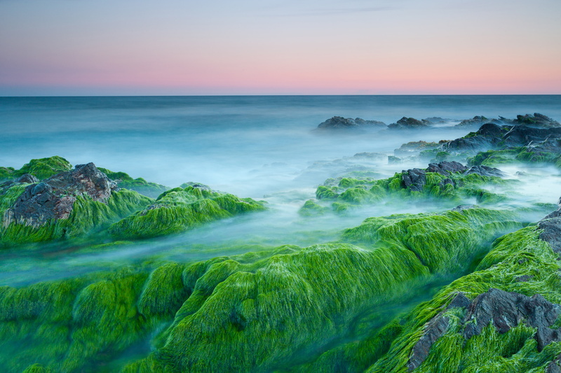 Stones, Sea, 4K, Sunset, 4K, Algae