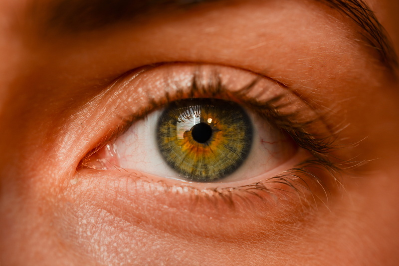 brown, studio shot, vision, eyeball, blue, close, black, doll, face, iris, blur, green, green iris, young adult, extreme close-up, body part, looking, sight