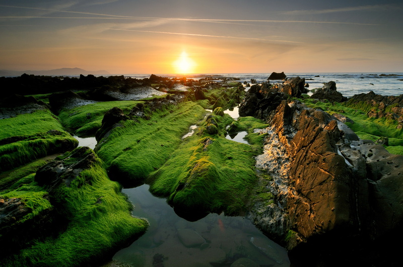 Sunset, Rocks, Green Algae, 2K